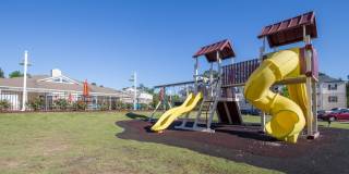 Autumn View Gallery 19