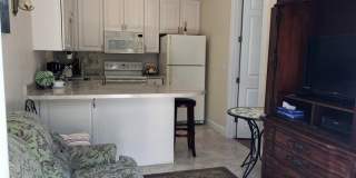 334 W Pearson Street Gallery 5