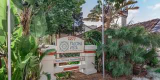 Paloma Vista Apartment Homes Gallery 16