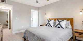 Coconut Palm Club Gallery 45