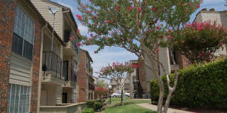 Hunter's Court Gallery 14