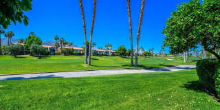 55559 Winged Foot Gallery 2