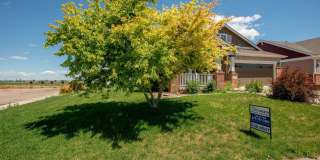 5 Bedroom Home in Windsor Colorado Gallery 4