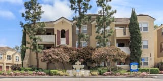 Laurel Terrace Apartment Homes Gallery 13