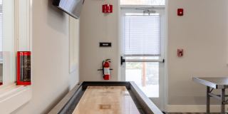 Paugus Woods Gallery 48