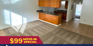 Fifth Avenue Gallery 1