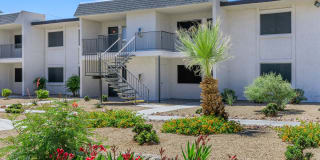 Tides on Wynn Gallery 5