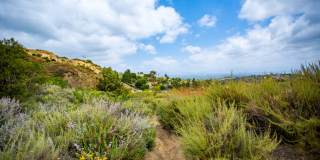 Chroma Apartment Homes Gallery 114
