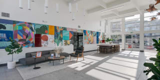 CitySouth Gallery 28