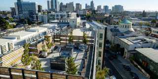 Axis Oakland Gallery 35