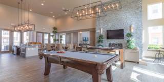 Century Palm Bluff Gallery 5