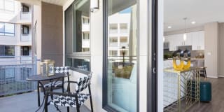 The Standard The Standard Gallery 24