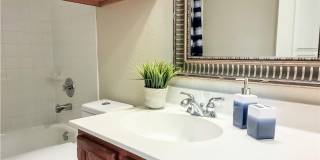 Great Family Home in Round Rock ISD! Gallery 10