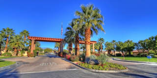 1207 Palmas Ridge Gallery 21