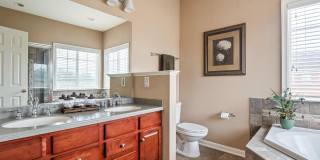 22250 Waterberry Terrace Gallery 16