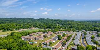 The Nelson Gallery 28