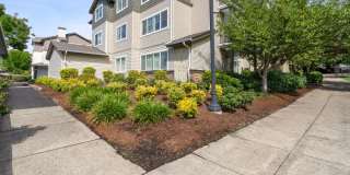 Sofi at Cedar Mill Gallery 40