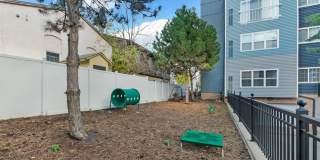 Zen Chaska Zen Chaska Gallery 44