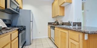 The Orsini Gallery 76