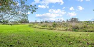 2443 Windsor Way Court Gallery 43