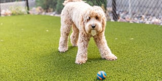 Harper Apartments Gallery 46