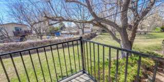 Orchard Gardens  (OG) Gallery 27