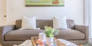 Bradford Park Gallery 31