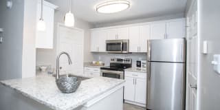 The Carlyle at Perimeter Apartments Gallery 19