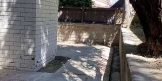 5136 Javalambre Drive Gallery 8