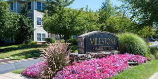 Milestone Gallery 23