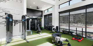 Cortland at Stonebriar Gallery 13