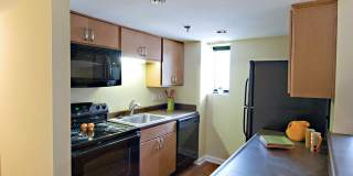 The Ambassador at Library Square Gallery 10