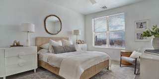 Alvera at The Meadows Gallery 19