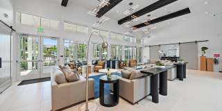 Mira at Palmer Ranch - 55+ Senior Living Community Gallery 25