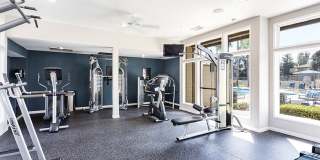 The Ashton Gallery 11