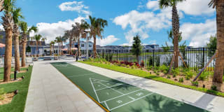 The Sophia Gallery 11