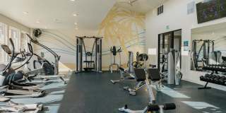 H2O Lofts Gallery 25