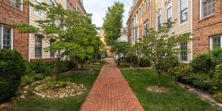 5180 BRAWNER Place Gallery 50