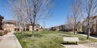 1012 Sonoma Circle Gallery 27