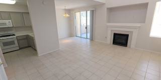9901 Trailwood Drive Gallery 3