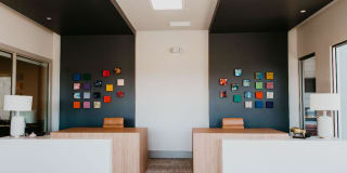 Tanager Tanager Gallery 17