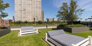 Arrive Lex Gallery 31