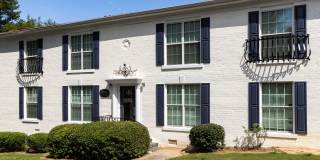 Hidden Colony Gallery 14