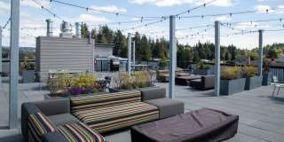 Morado Bothell Gallery 30