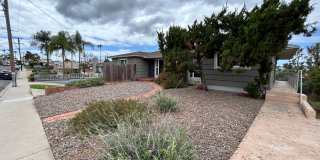 5 Bedroom, 3 Bath in College Area!! Gallery 4