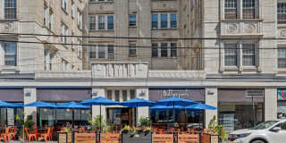 New King Edward Gallery 503