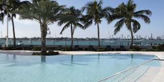 Flamingo South Beach Gallery 4