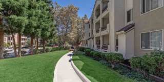 Paloma Vista Apartment Homes Gallery 19