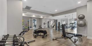 The Lyndon Gallery 11