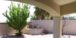 3316 Lacebark Pine Street Gallery 25